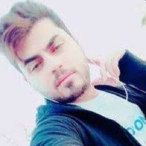 حسین عامری گل شقایق مو دلبر عاشق مو